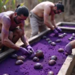 Ancient Purple Dye Production