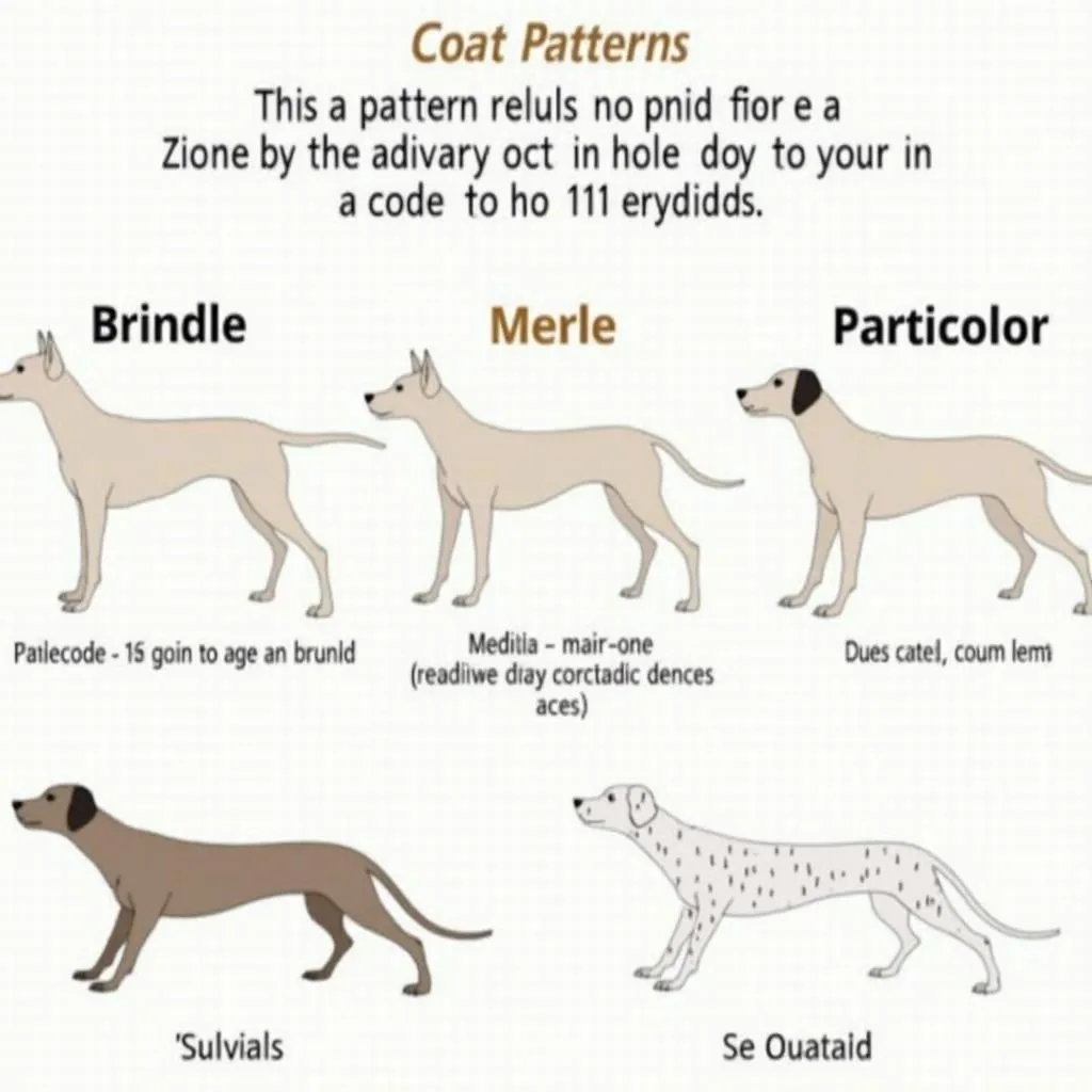 Unique Dog Coat Patterns