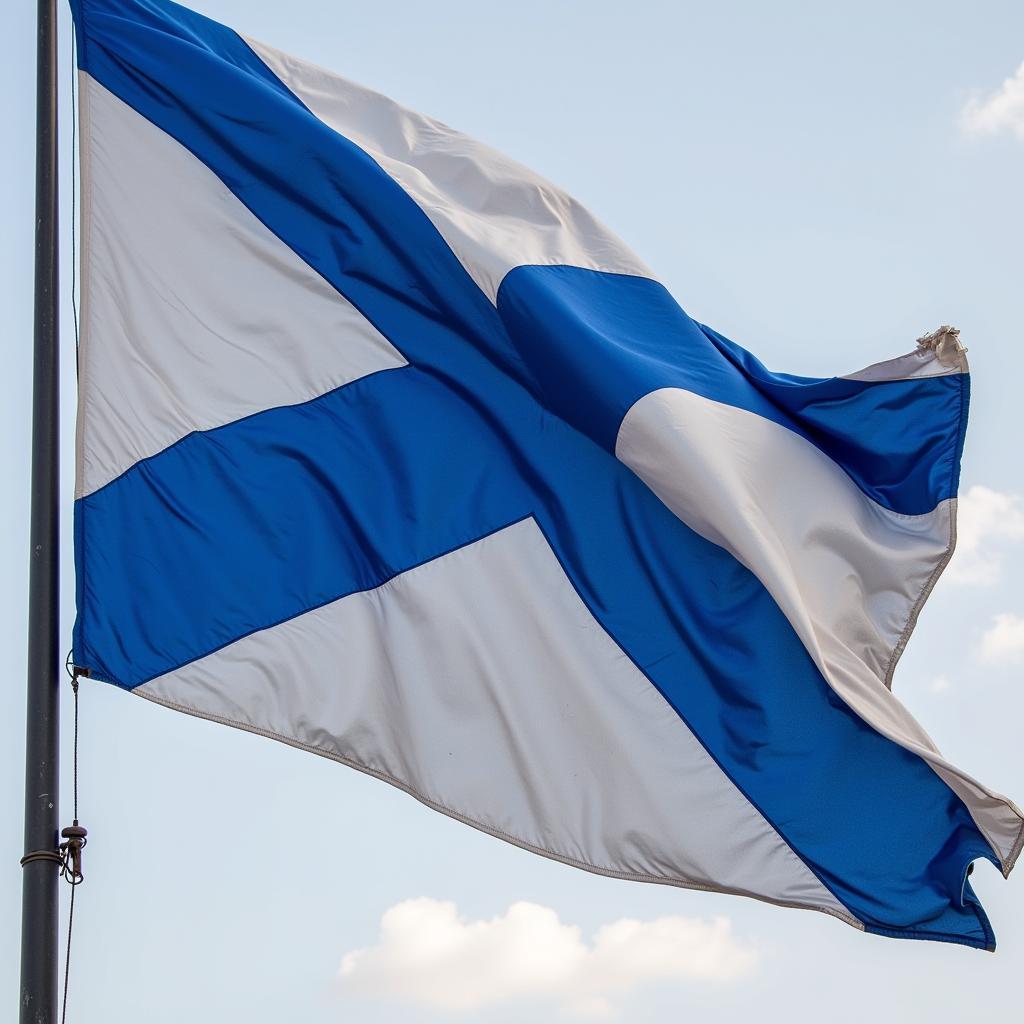 Abolitionist flag with blue and white colors