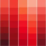 Cardinal Red Color Palette