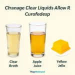 Clear Liquid Diet Essentials for Colonoscopy