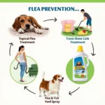 Colorado Flea Prevention Tips for Pets and Homes