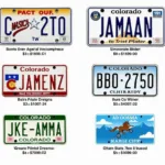 Examples of Colorado Specialty License Plates