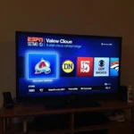 Colorado sports channels on TV guide