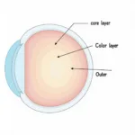 Structure of a Colored Contact Lens