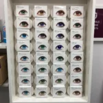 Variety of Colored Contacts