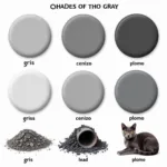 Different Shades of Gray - Gris, Cenizo, Plomo