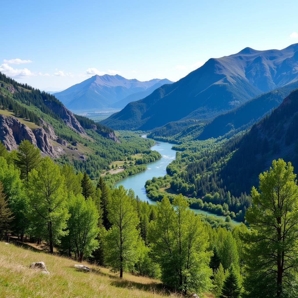 Gunnison Colorado Scenic View