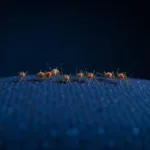 Mosquitoes on Dark Fabric