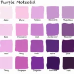 Different shades of purple