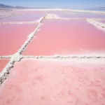 Salt flats in Las Coloradas