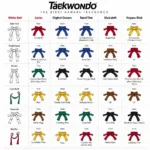 Taekwondo Belt Ranking System