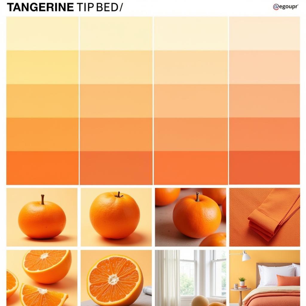 Tangerine color variations and shades