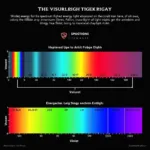 Visible light spectrum with energy levels