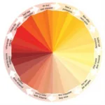 Warm Color Wheel Illustration