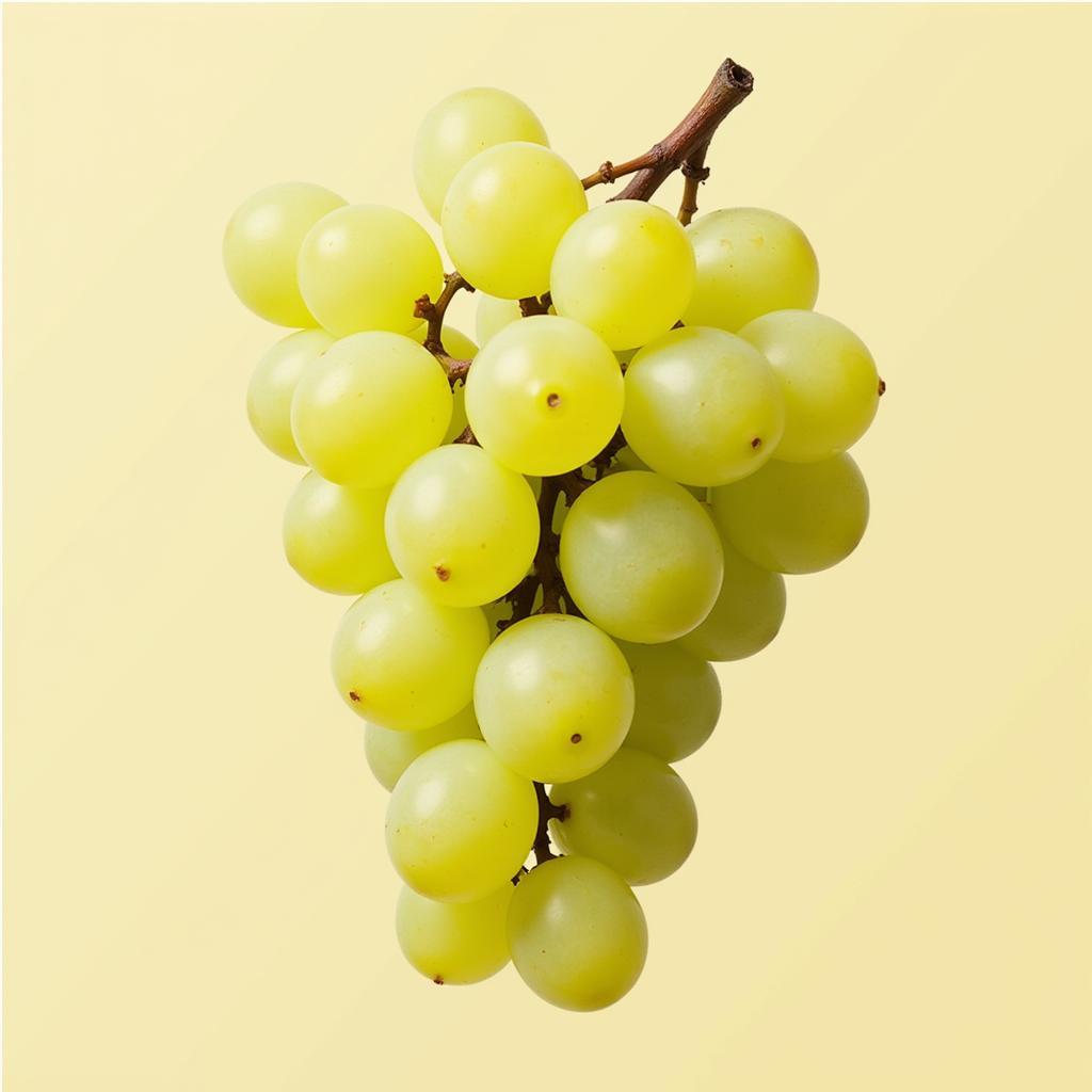 Wine Grapes for White Wine