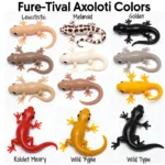 Axolotl Color Variations: A Visual Guide