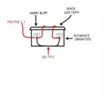 Car Battery Polarity Diagram Showing Positive and Negative Terminals