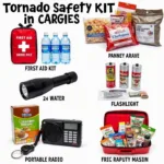 Colorado Springs Tornado Safety Kit