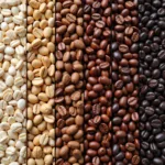 Espresso Beans Roasting Levels and their Impact on Color