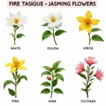 Jasmine Flower Color Variations