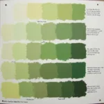 Military Green Shades and Variations