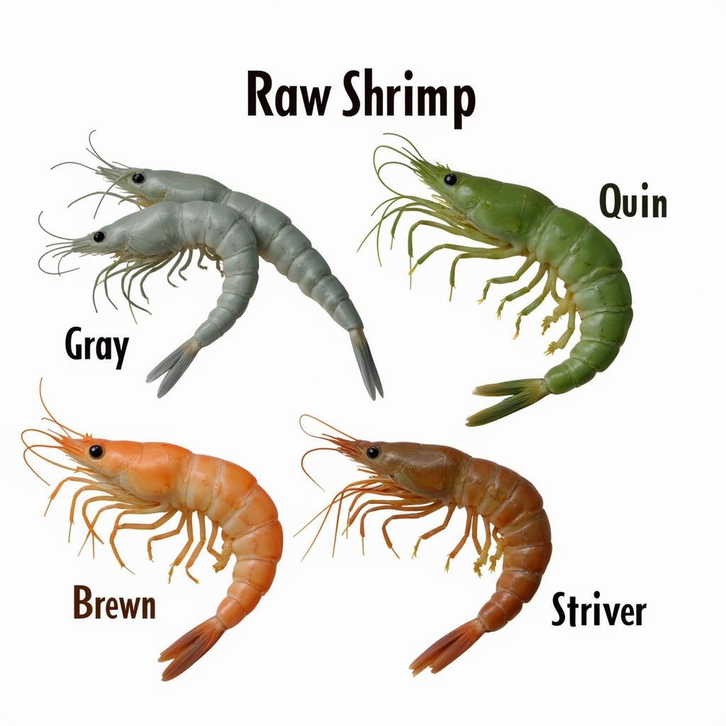 Raw Shrimp Color Variations: Gray, Green, and Brown