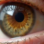 Hazel eye close-up