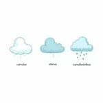 Illustration of Different Cloud Types