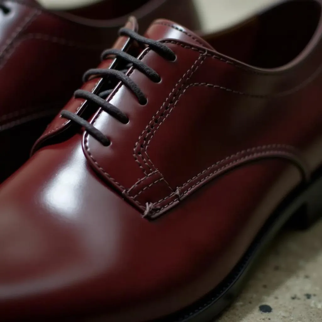 Close-up of cordovan leather shoes showing the rich burgundy color