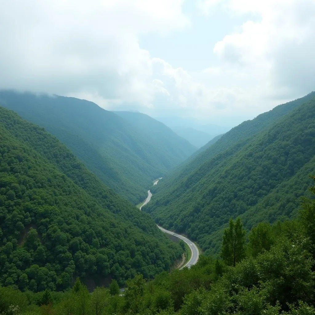 A scenic view of the Great Smoky Mountains National Park