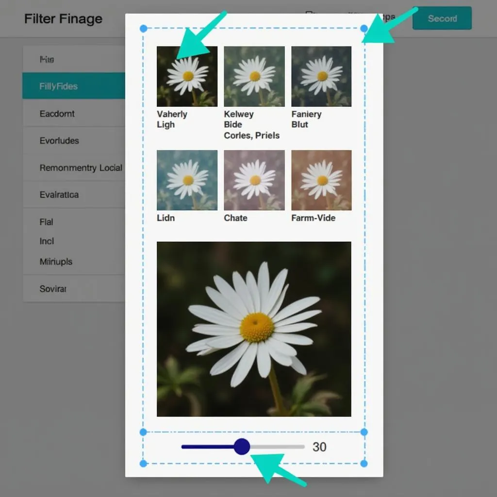 Fine-Tuning Image Colors with Canva's Filters