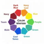 Color Wheel for Choosing Braces