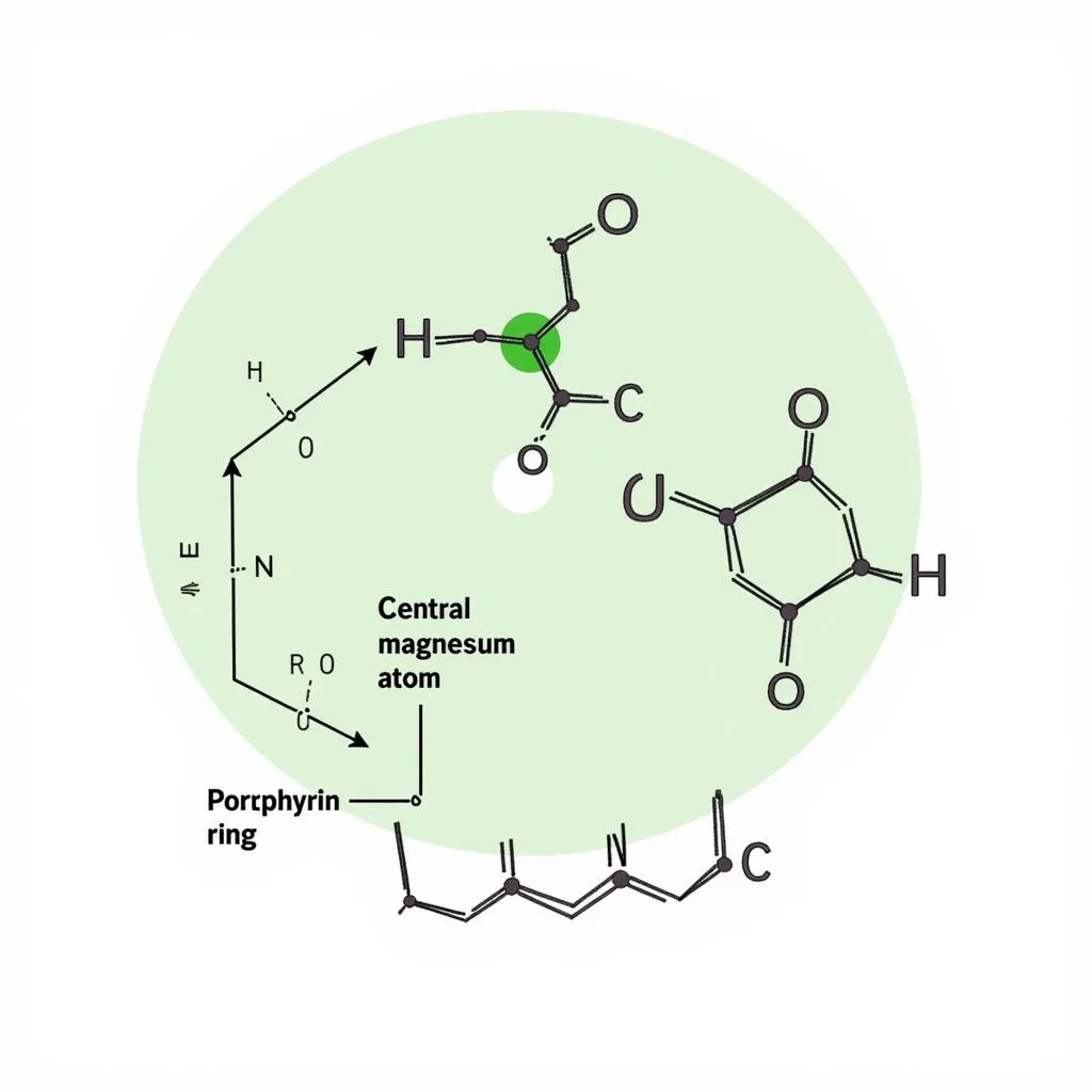 Chlorophyll Molecule Structure