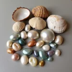 Clams and pearls side by side