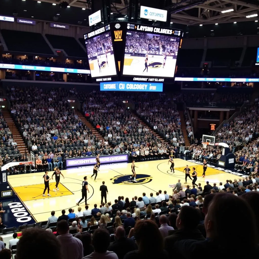 Colorado Buffaloes Basketball Game