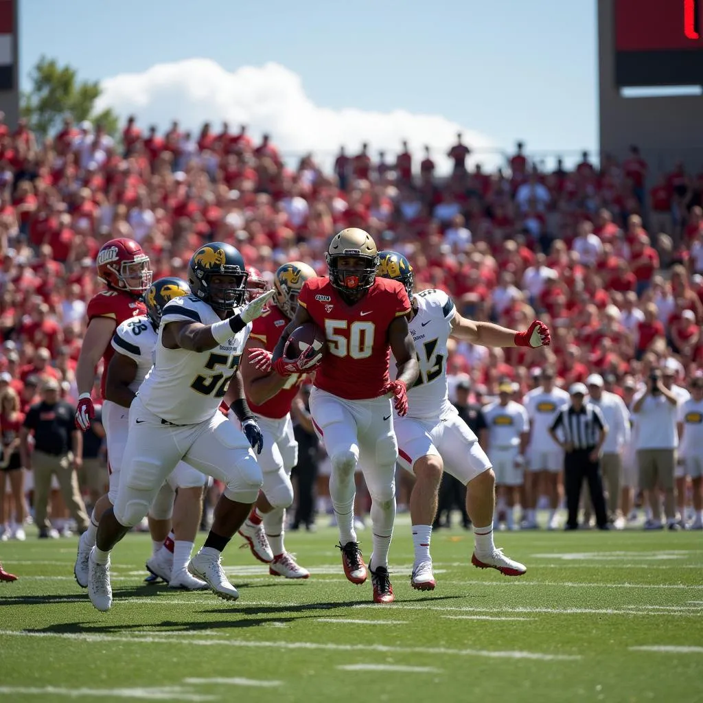 Colorado Buffaloes Football Team