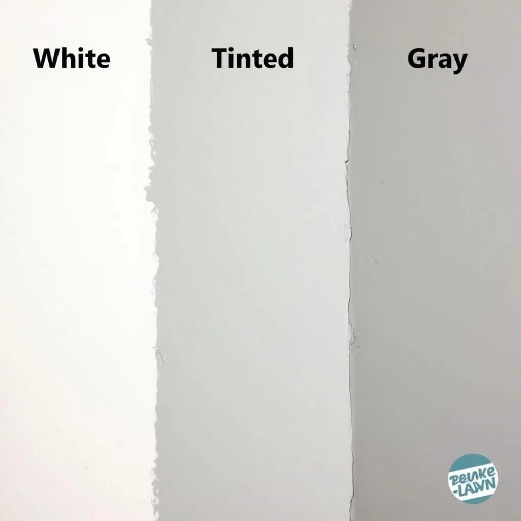 Comparing Primer Colors