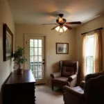 Dark Ceiling Fan in a Small Room