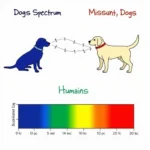 Dog Color Spectrum