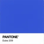 Duke Blue Color Swatch