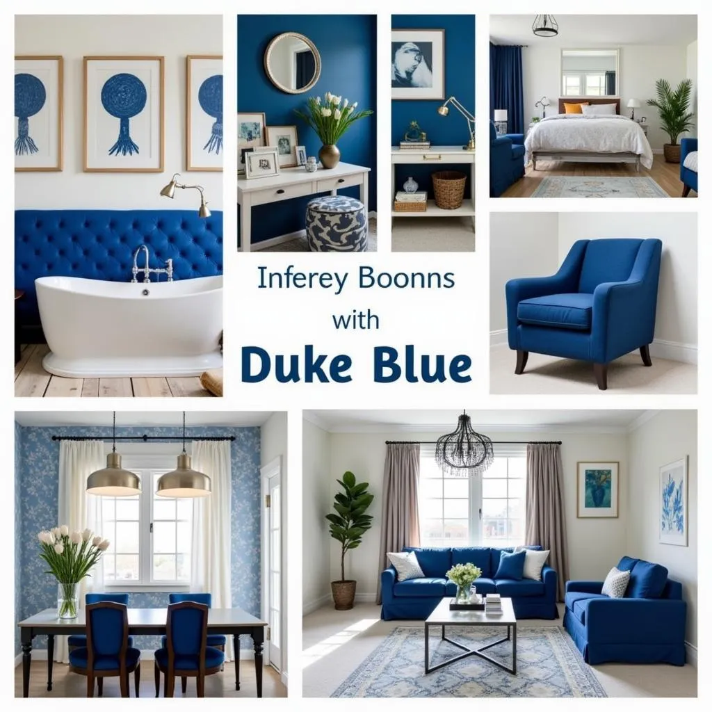 Duke Blue Interior Design Inspiration