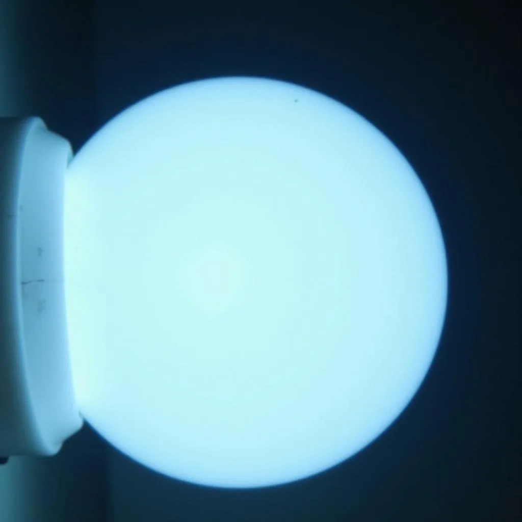 Fluorescent Light Bulb