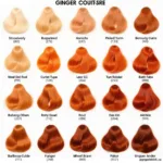 Ginger Color Palette Variations