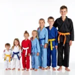 Karate Belts Color Progression from White to Black