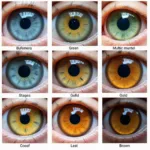 Kitten Eye Color Change Stages