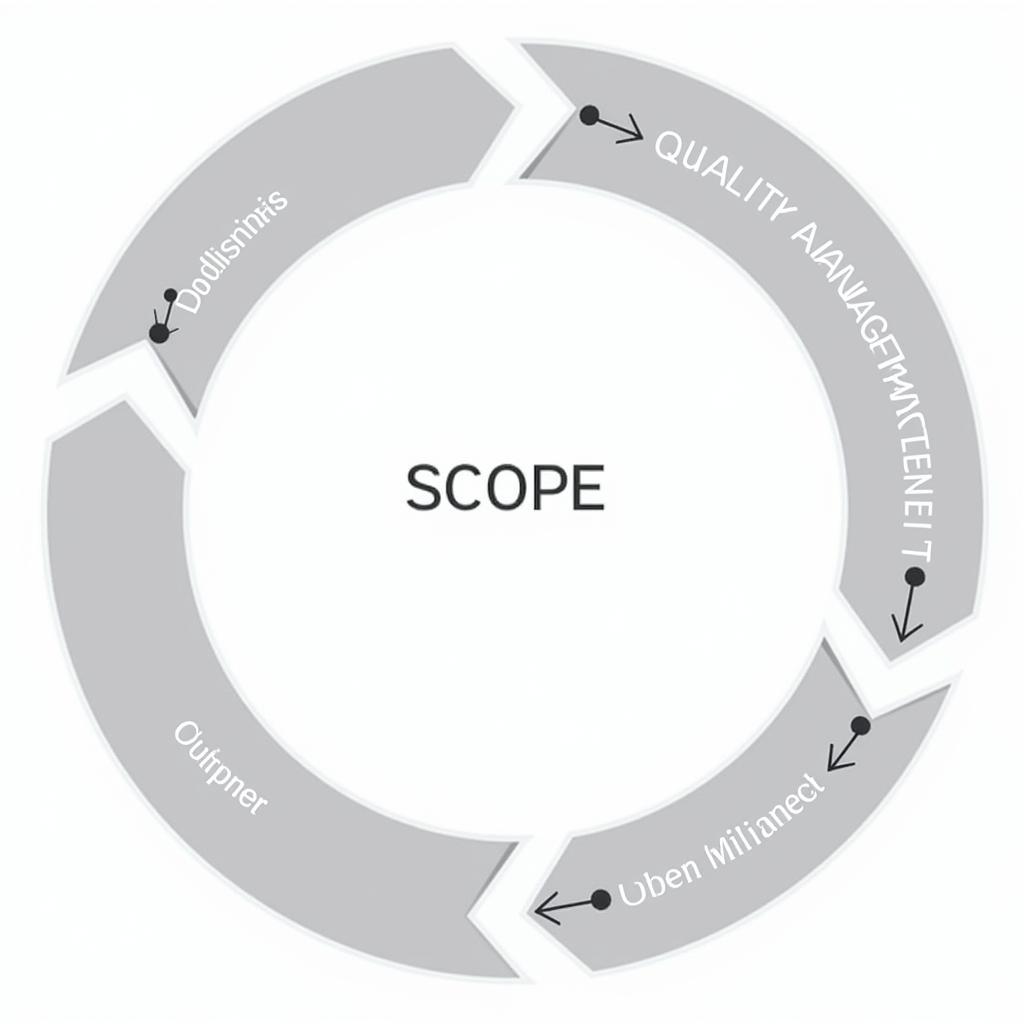 Quality Management Policy Development Cycle