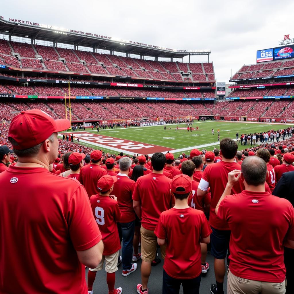 San Francisco 49ers Fans in Red and Gold