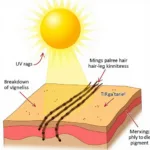 Sun Lightening Hair Process