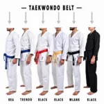 Taekwondo Belt Ranks